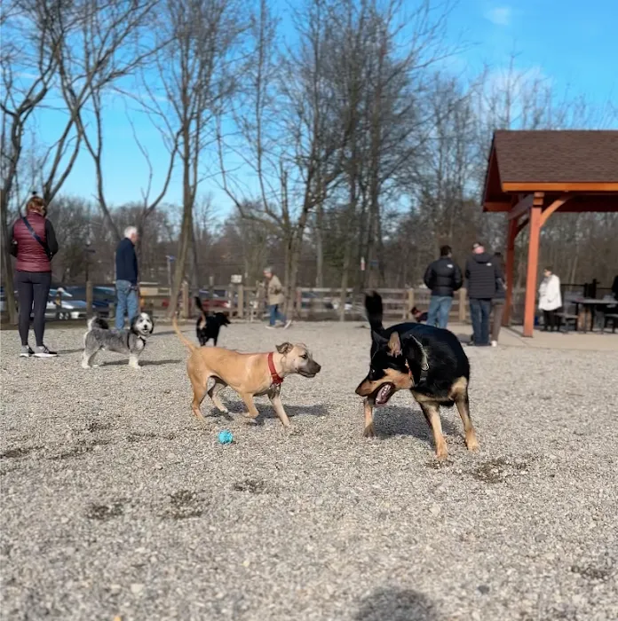 Croft Farm Dog Park 10
