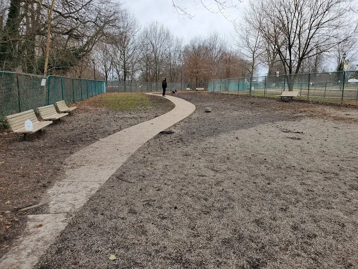 Cooper River Dog Park 7