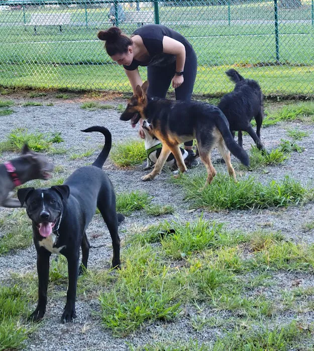 Cooper River Dog Park 5