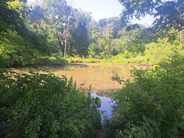 Cooper River Dog Park 10