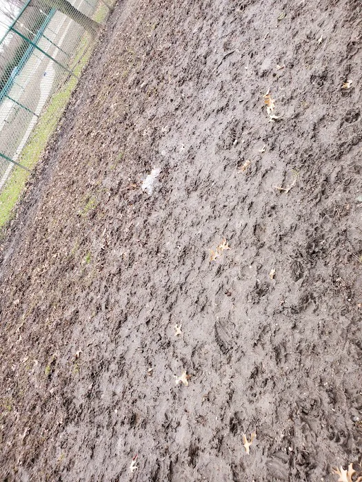 Cooper River Dog Park 6
