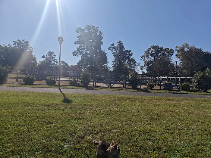 Berlin Dog Park 3