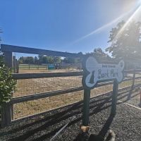 Berlin Dog Park ico