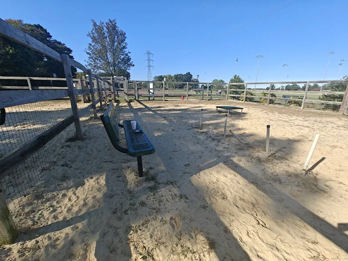 Berlin Dog Park 5