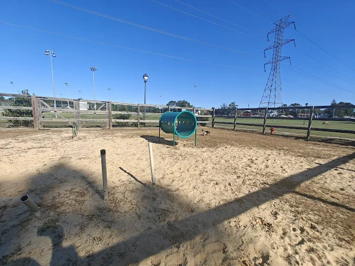 Berlin Dog Park 2