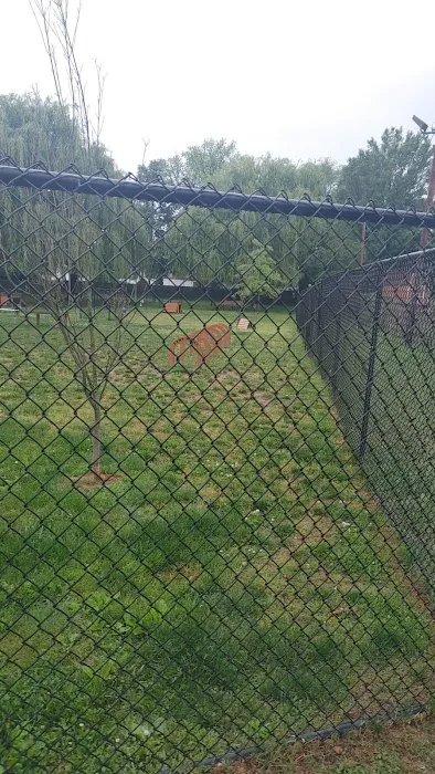 Borough of Bellmawr Dog Park 5