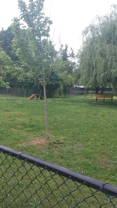 Borough of Bellmawr Dog Park 7