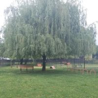 Borough of Bellmawr Dog Park ico