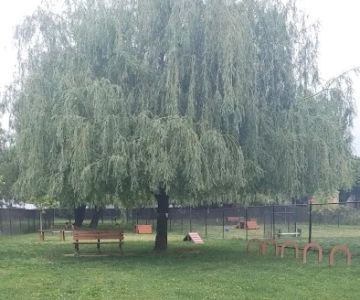 Borough of Bellmawr Dog Park