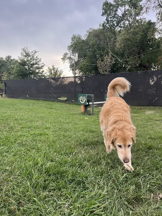 Florence Korostynski Memorial Dog Park 7