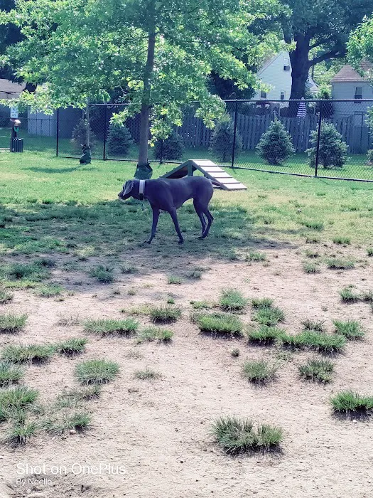 Florence Korostynski Memorial Dog Park 8
