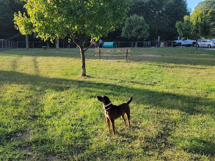 Deptford Doggie Park 7