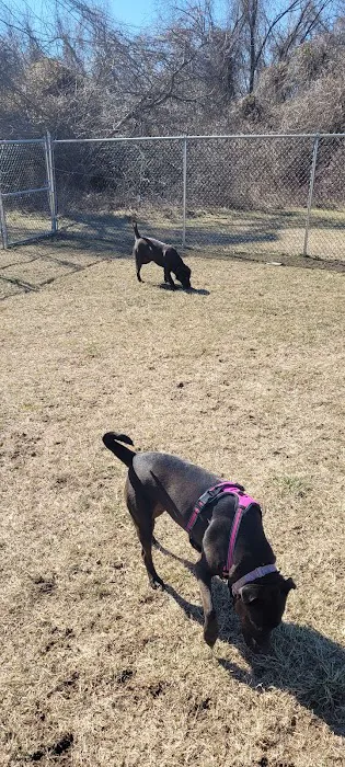 Deptford Doggie Park 1