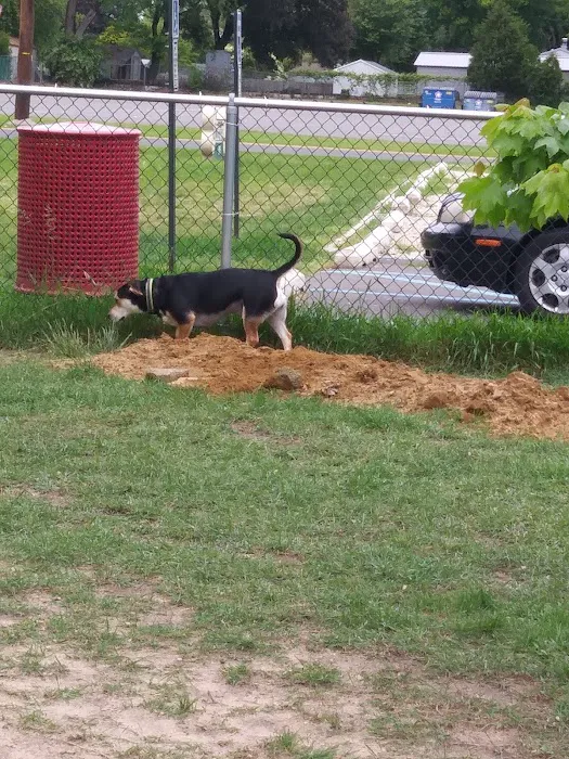 Deptford Doggie Park 9