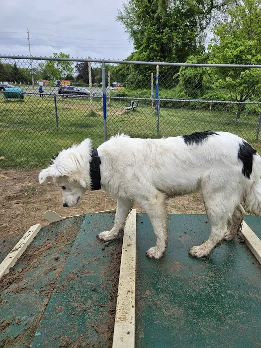 Deptford Doggie Park 6