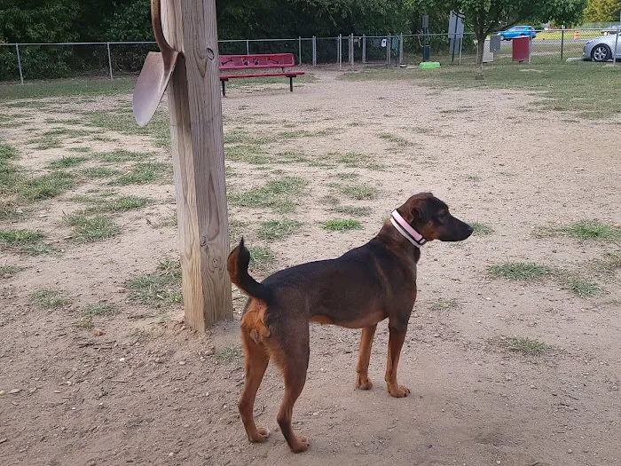 Deptford Doggie Park 2