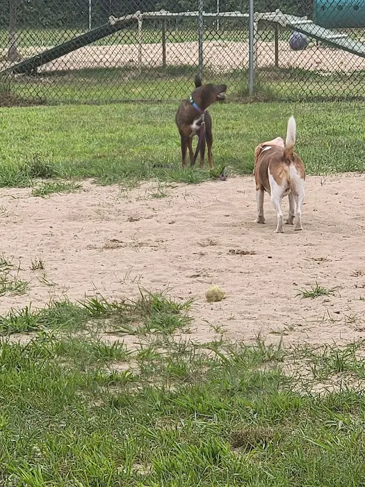 Deptford Doggie Park 3