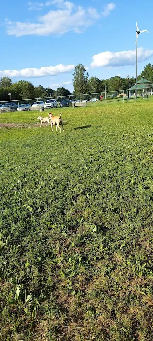 Perkasie Dog Park 8