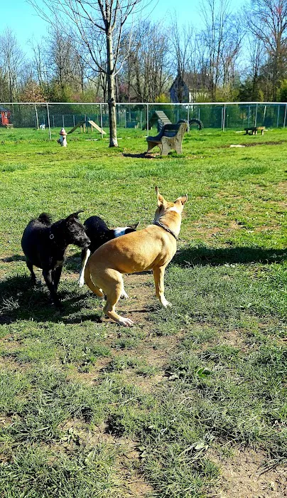 Perkasie Dog Park 3