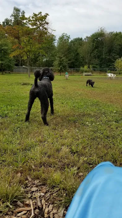 Perkasie Dog Park 6