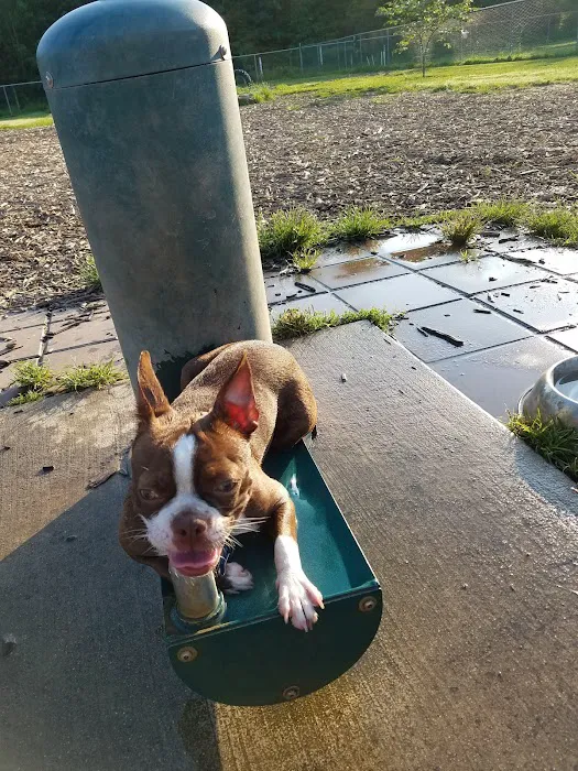Perkasie Dog Park 2