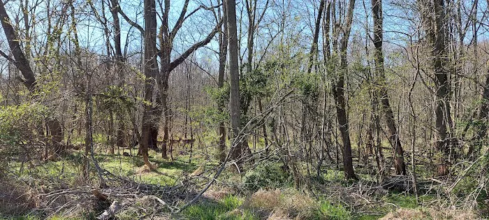 Perkasie Dog Park 5