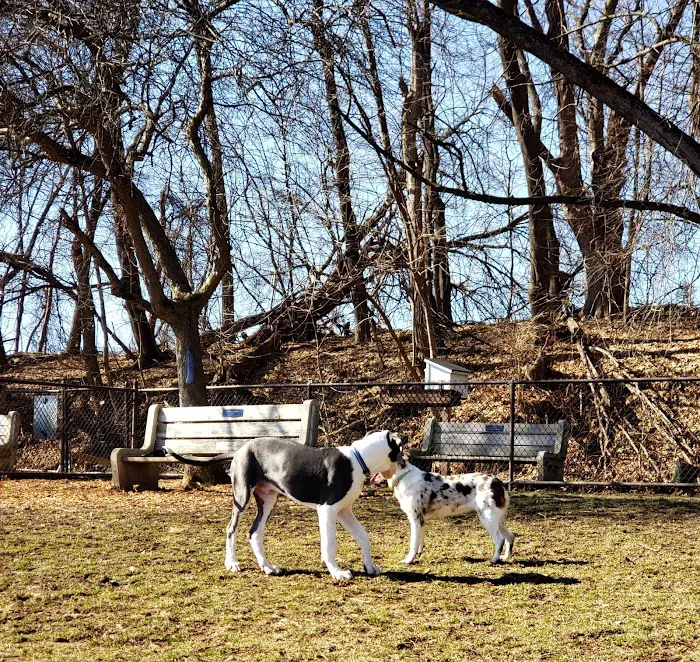 Nazareth Dog Park 10