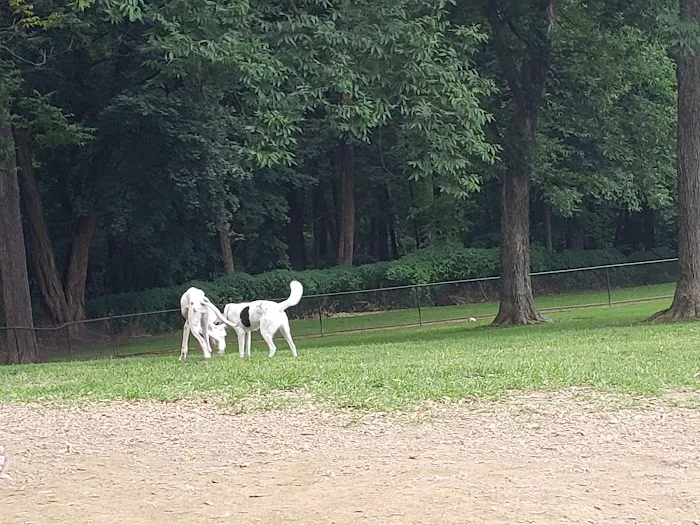Nazareth Dog Park 6