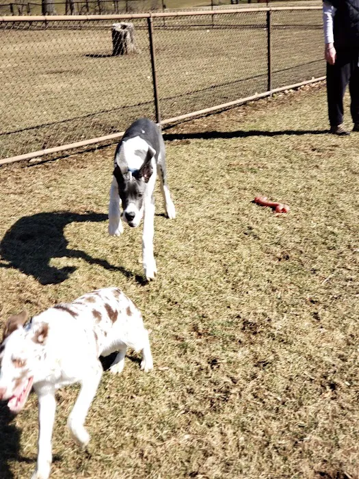 Nazareth Dog Park 8