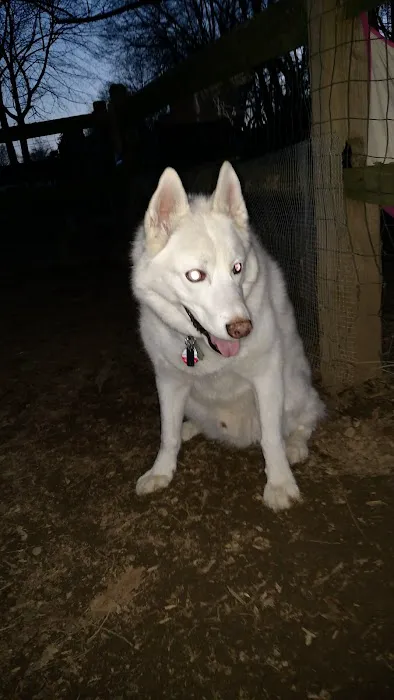 Nazareth Dog Park 1
