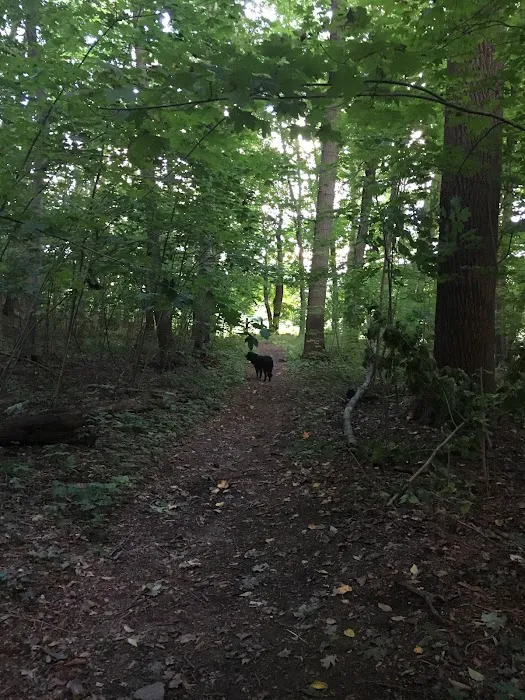 Nazareth Dog Park 7