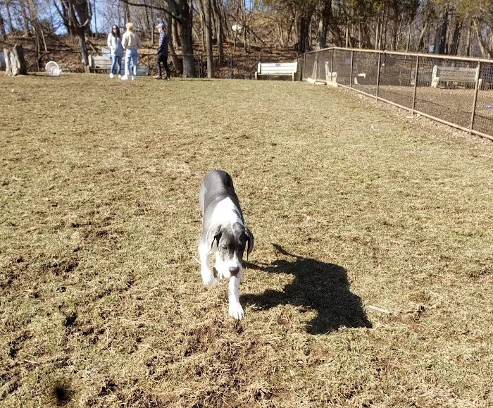 Nazareth Dog Park 9
