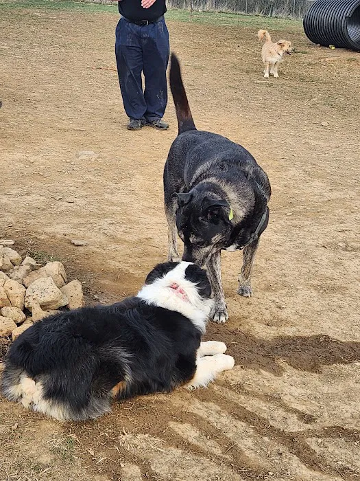Monocacy park-off leash recreation area 1