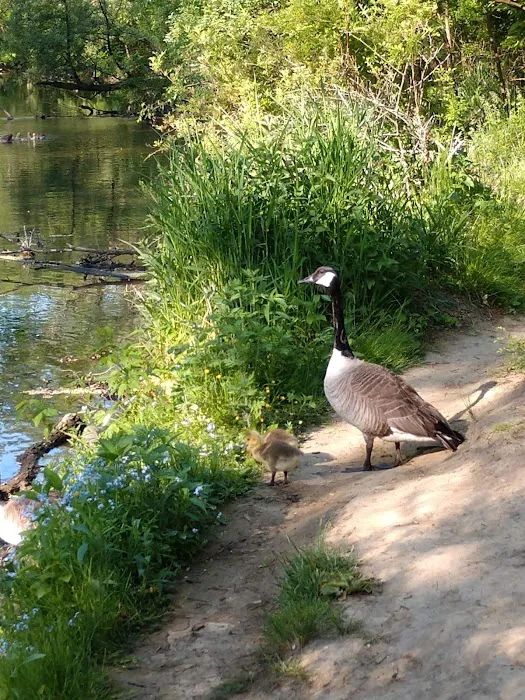 Monocacy park-off leash recreation area 3