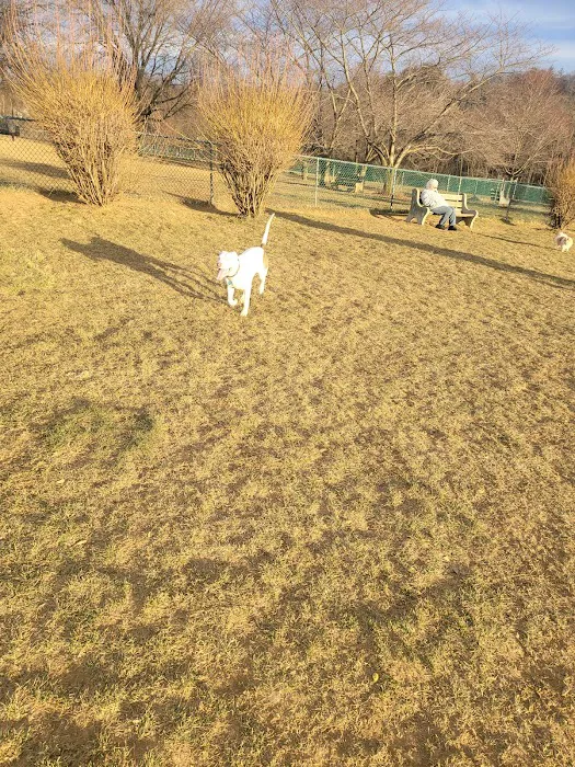 Monocacy park-off leash recreation area 10