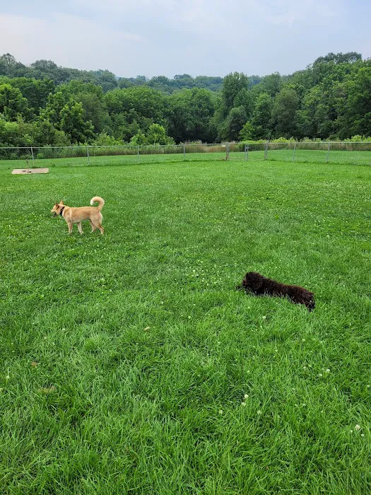 Monocacy park-off leash recreation area 9