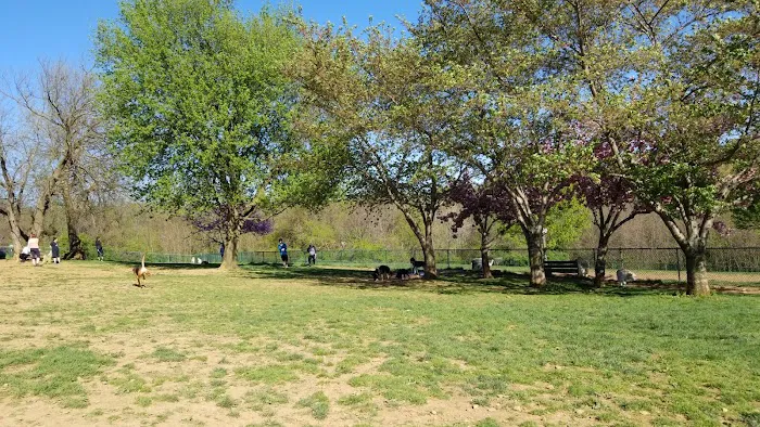 Monocacy park-off leash recreation area 8