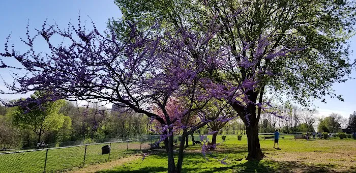 Monocacy park-off leash recreation area 7