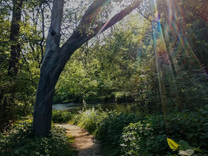 Monocacy park-off leash recreation area 4