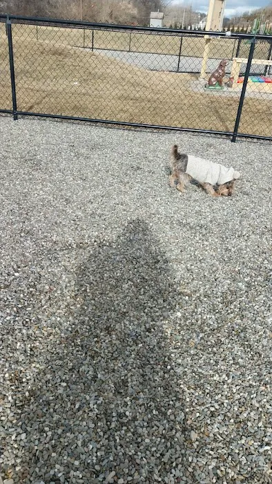 Paw Park 2