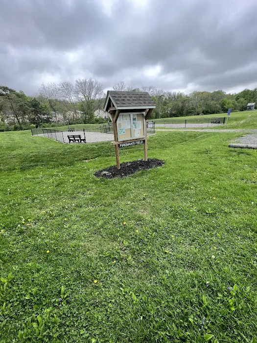 Paw Park 10