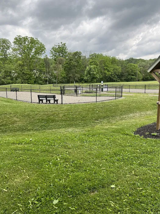Paw Park 8