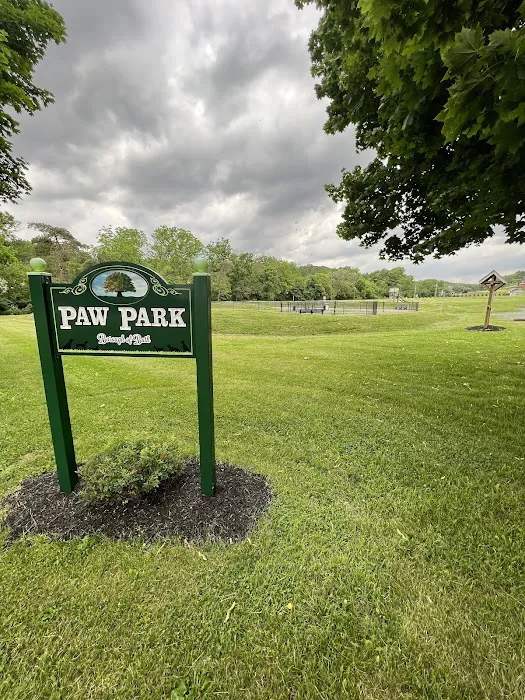 Paw Park 6