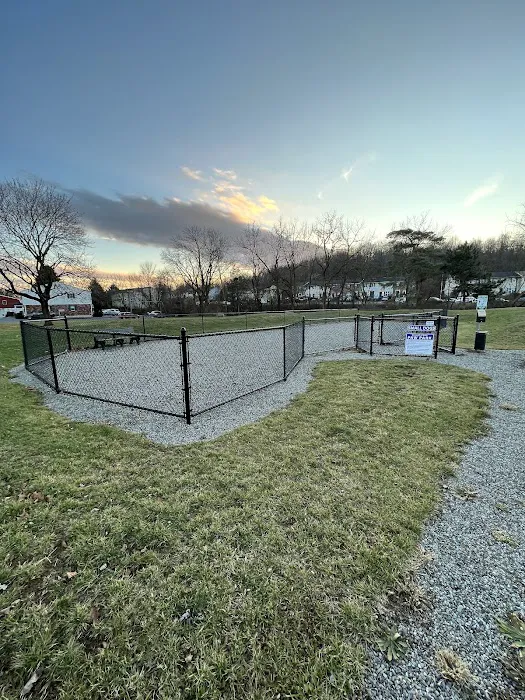 Paw Park 4