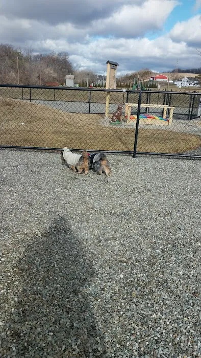 Paw Park 1