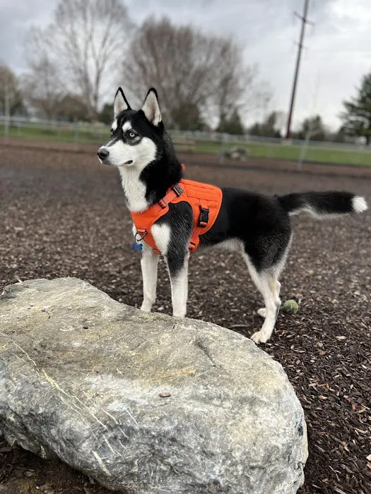 Hanover Township Dog Park 1