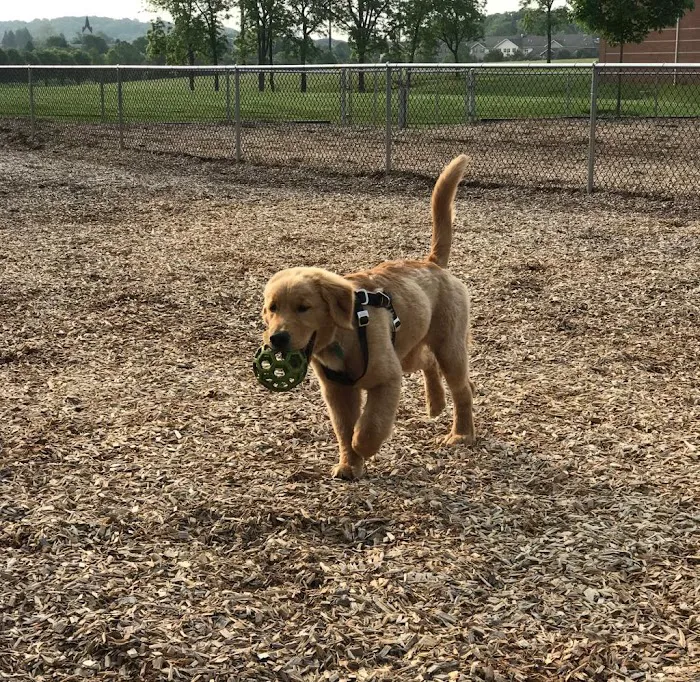 Hanover Township Dog Park 3