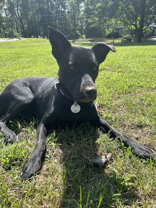 Weona Bark Park 3