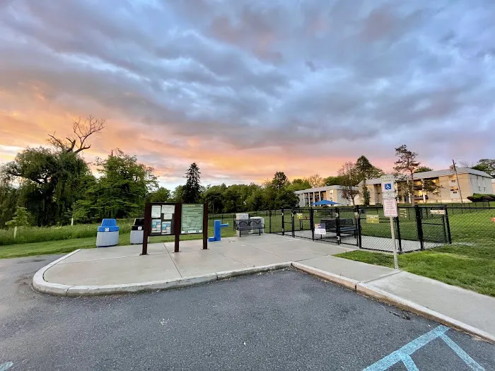 Dog run 1