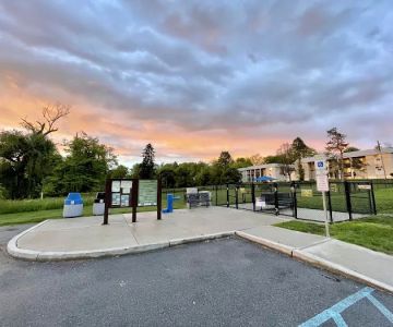 Dog run